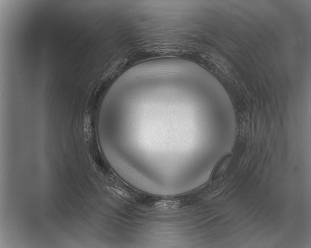 X0000074010700200609181834