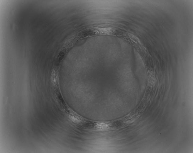 X0000074010701200609181834