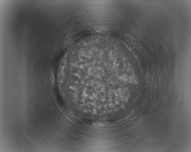 X0000074010703200609181834