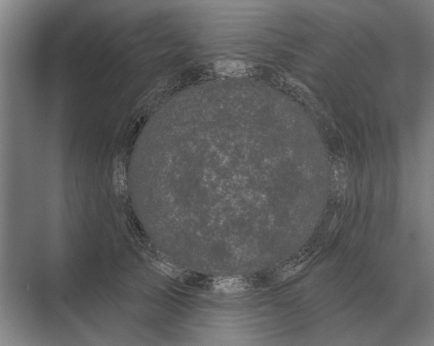 X0000074010705200609181834