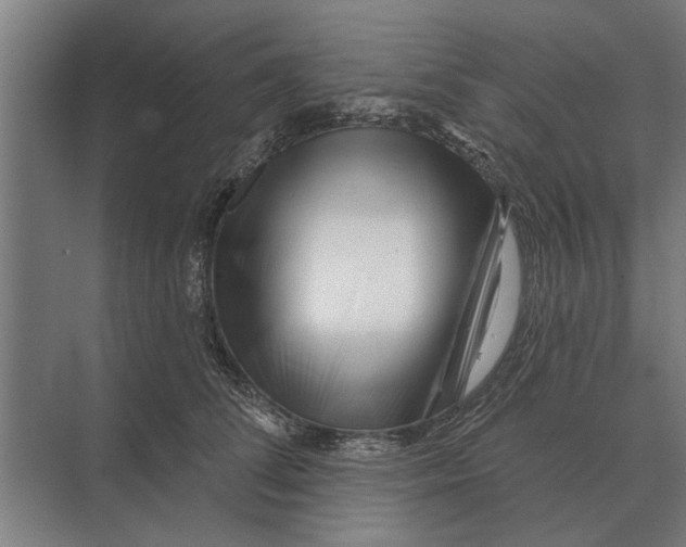 X0000074010708200609181834