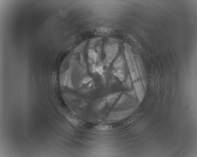 X0000074010711200609181834