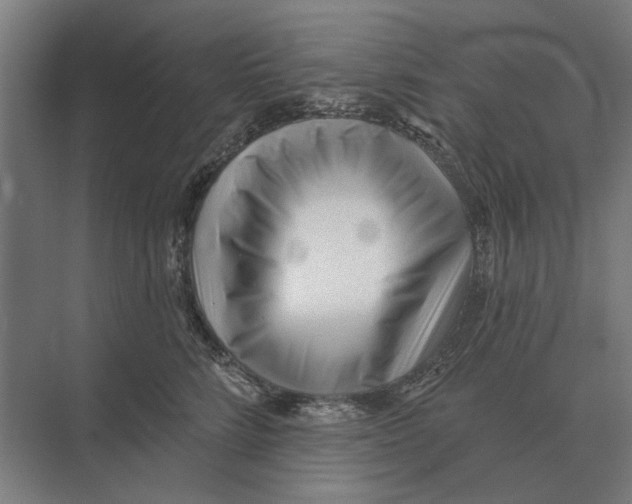 X0000074010712200609181834