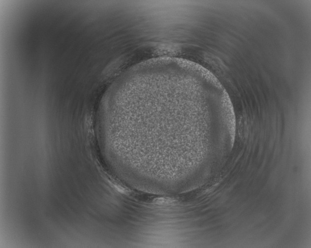 X0000074010714200609181834