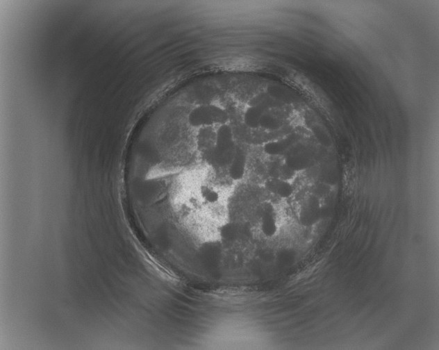 X0000074010725200609181833