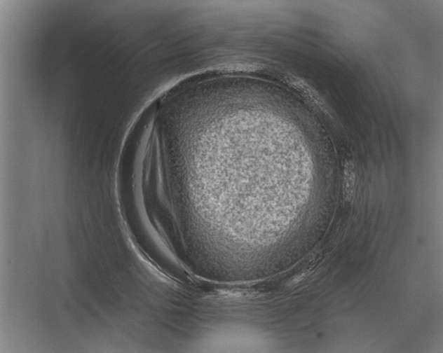 X0000074010726200609181833