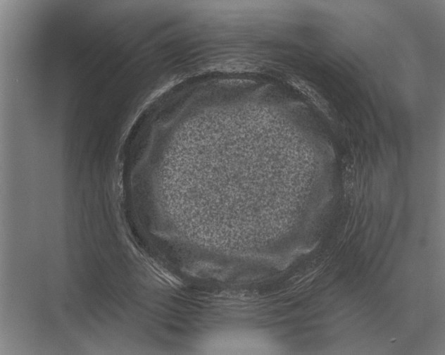 X0000074010727200609181833