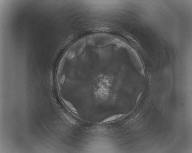 X0000074010729200609181833