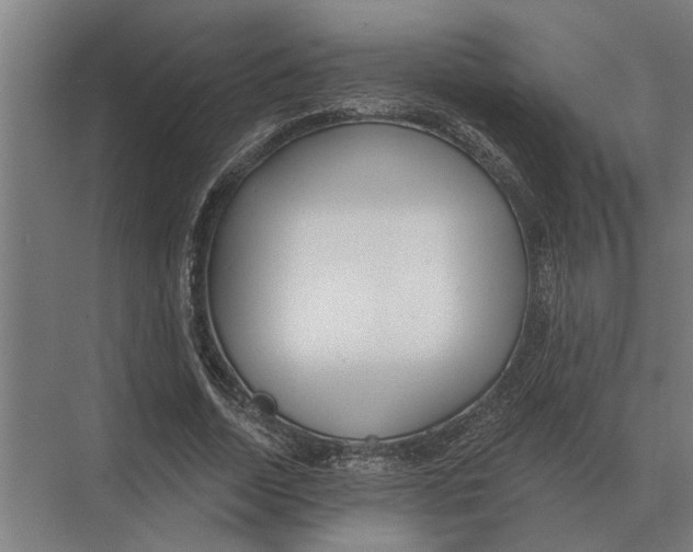 X0000074010730200609181833