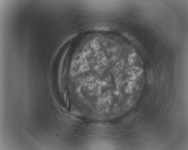 X0000074010731200609181833