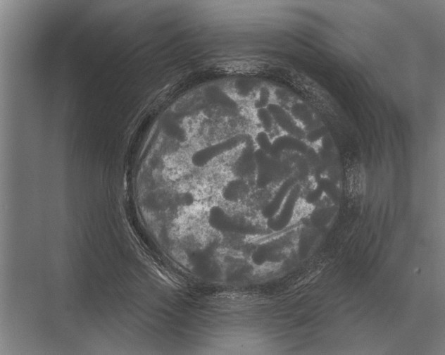 X0000074010733200609181833