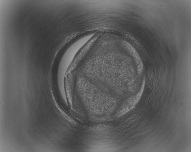 X0000074010734200609181833