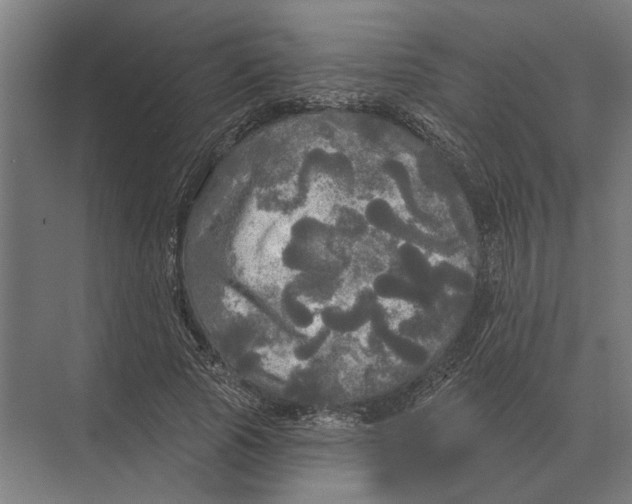 X0000074010737200609181833