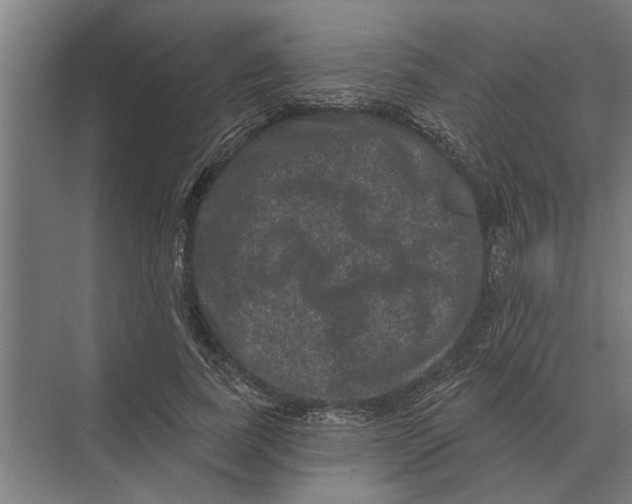 X0000074010739200609181834