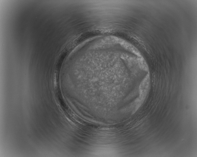 X0000074010740200609181834