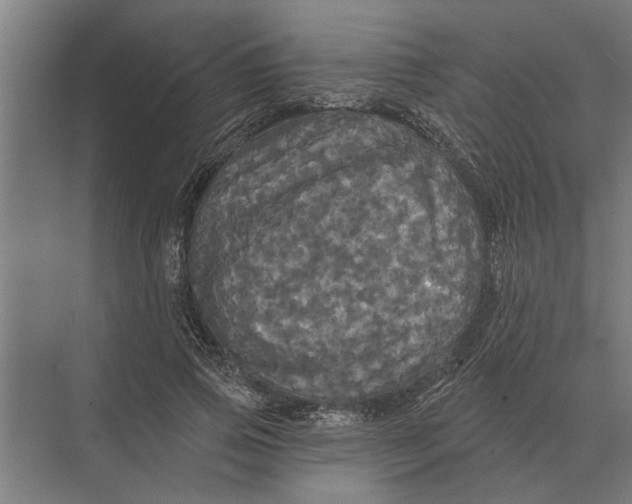 X0000074010741200609181834