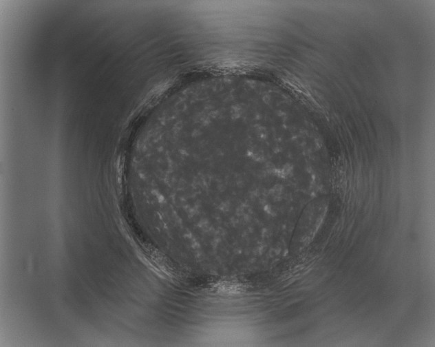 X0000074010742200609181834