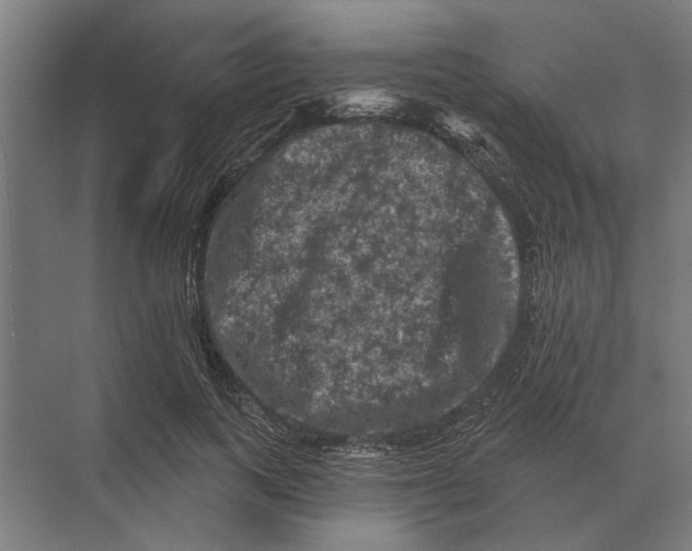 X0000074010743200609181834