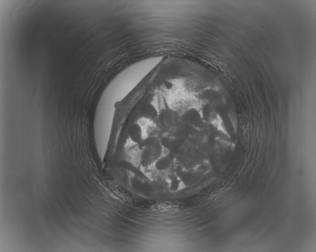 X0000074010745200609181834