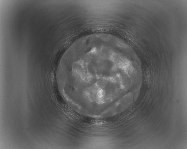 X0000074010746200609181834