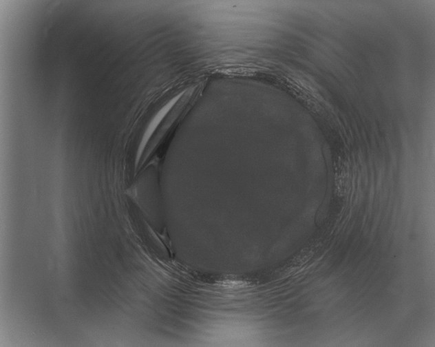 X0000074010748200609181834