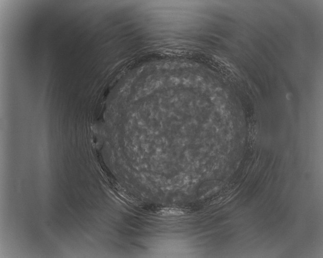 X0000074010749200609181834