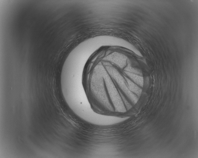 X0000074010750200609181834