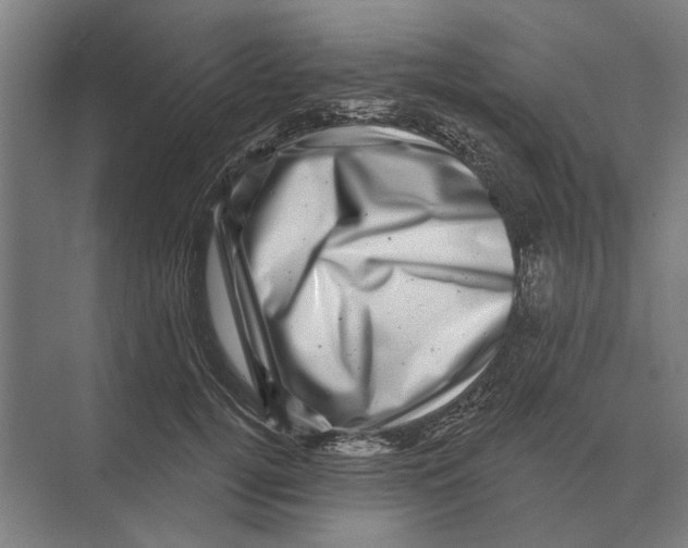 X0000074010752200609181834