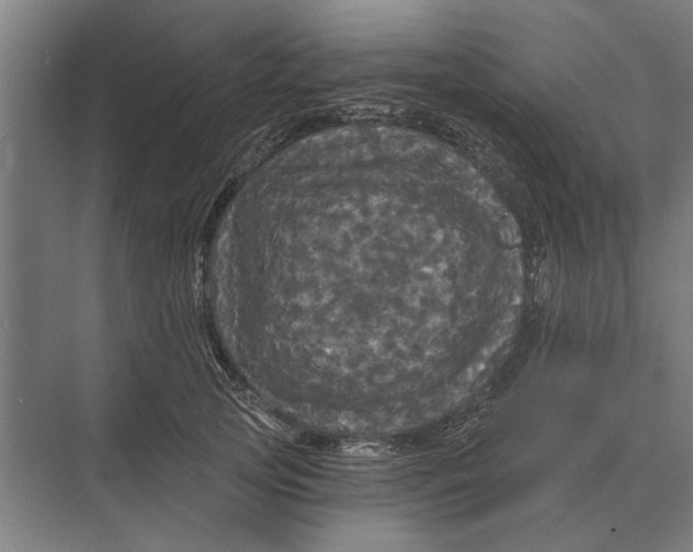 X0000074010753200609181834