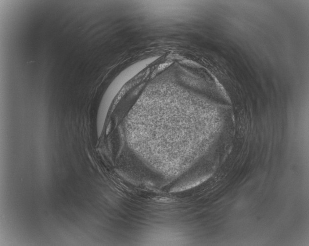 X0000074010755200609181834