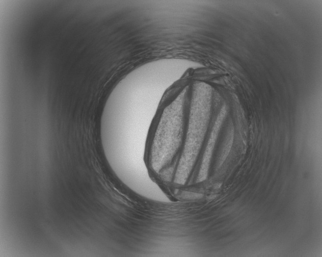 X0000074010756200609181834