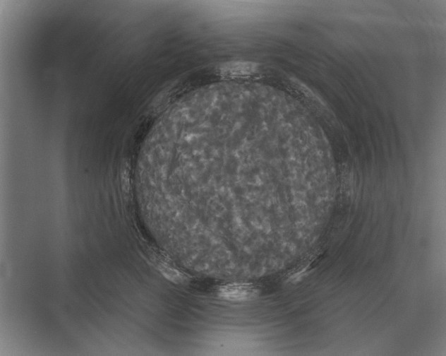 X0000074010761200609181834