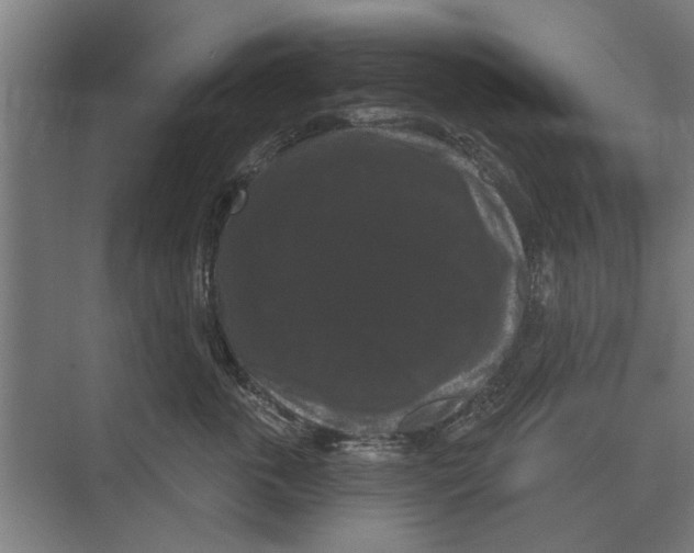 X0000074010763200609181834