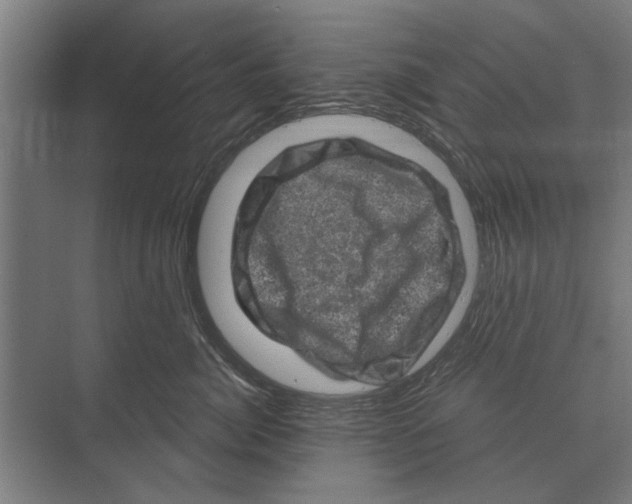 X0000074010764200609181834