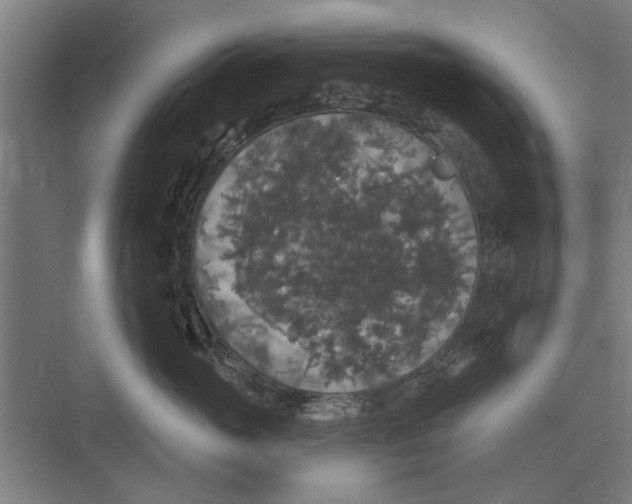 X0000074010765200609181834