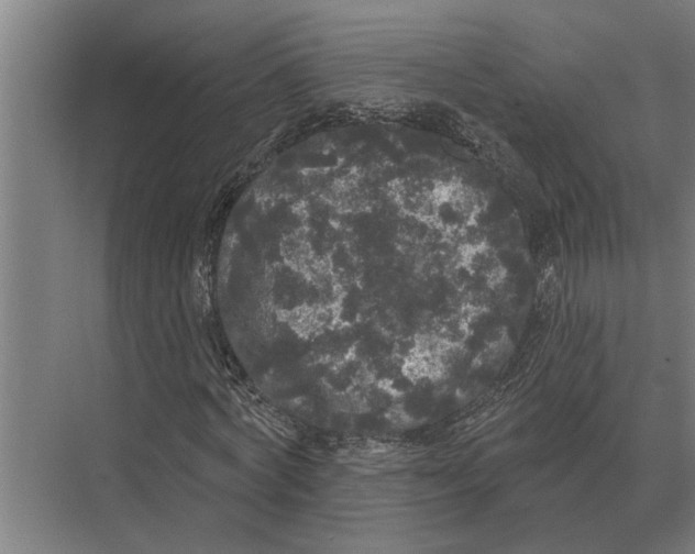 X0000074010772200609181833