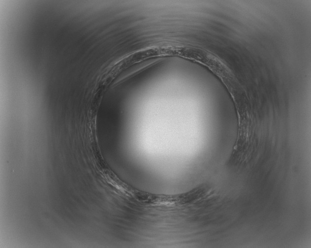 X0000074010773200609181833