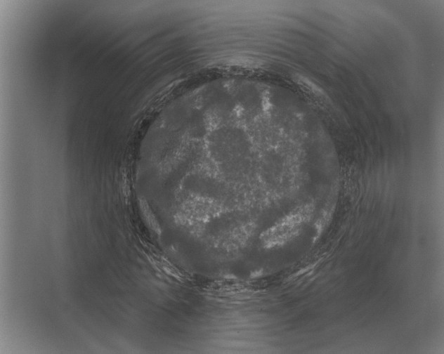 X0000074010774200609181833