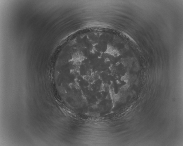 X0000074010775200609181833