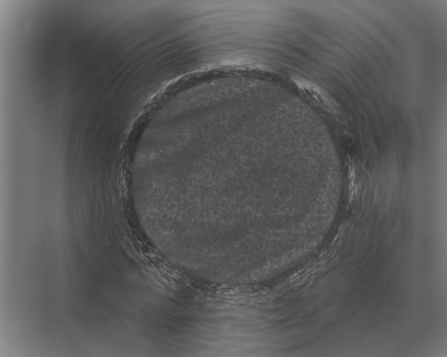 X0000074010776200609181833