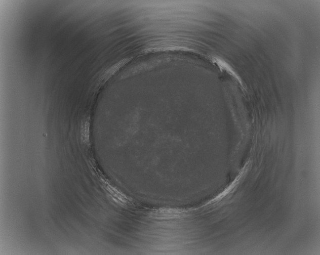 X0000074010777200609181833