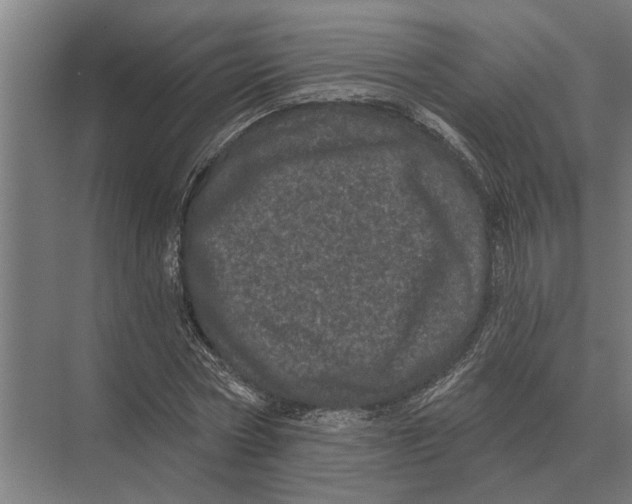 X0000074010778200609181833