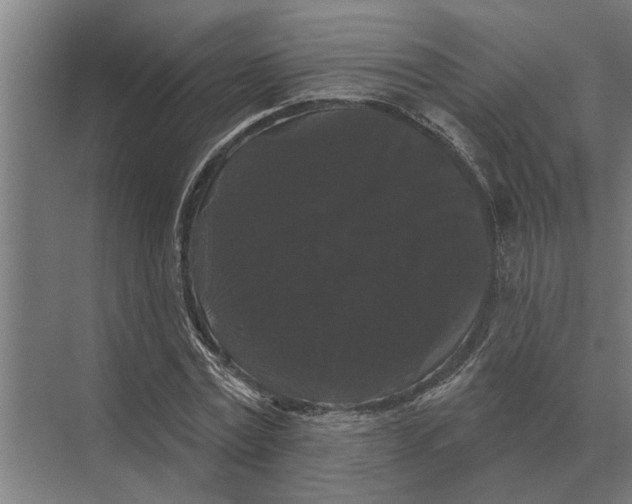 X0000074010779200609181833