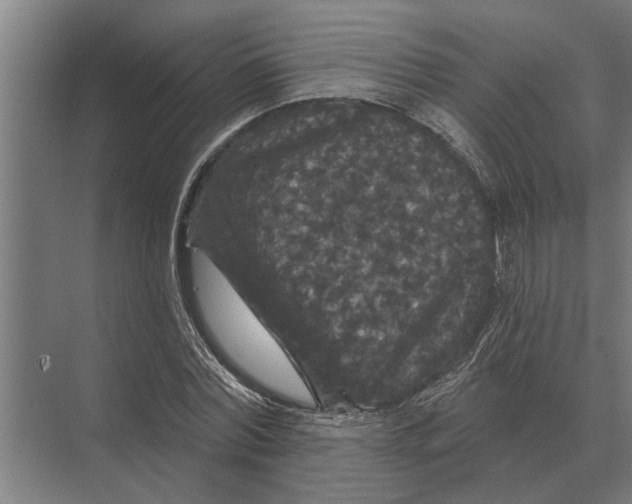 X0000074010780200609181833