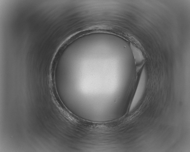 X0000074010784200609181833