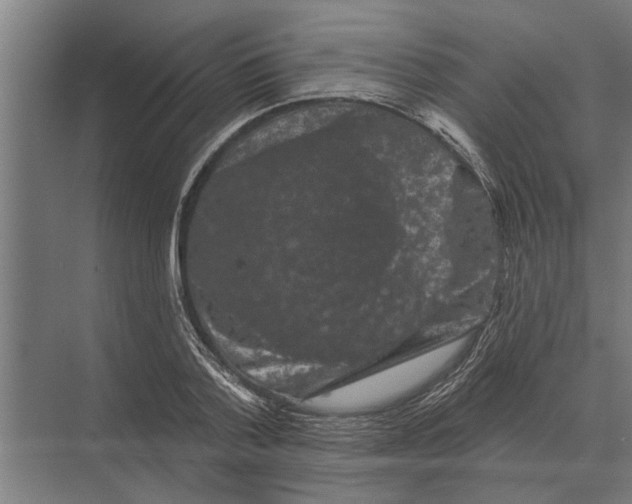 X0000074010788200609181833