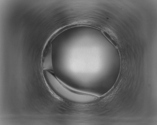 X0000074010792200609181833