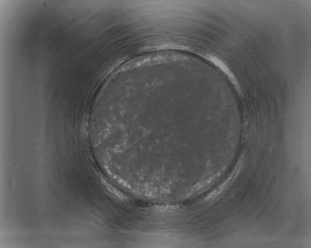 X0000074010793200609181833