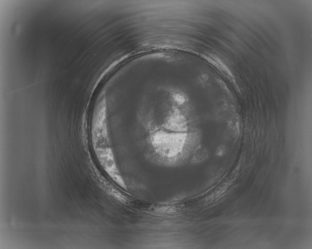 X0000074010798200609181833