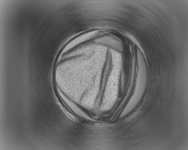 X0000074010803200609181833